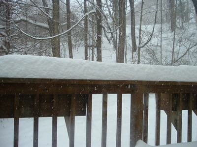 December snowstorm 2005 005.jpg